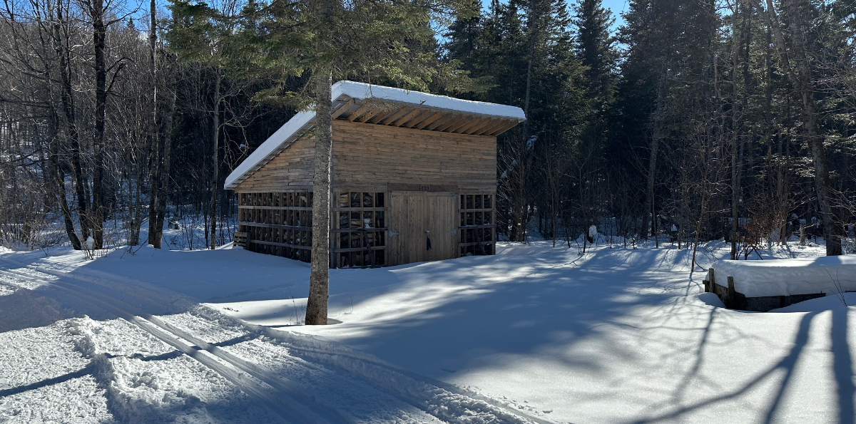 Ski de fond Charlesbourg