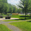 Parc Laforest