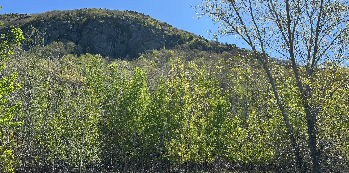 Réserve naturelle du Piedmont du Mont St-Hilaire